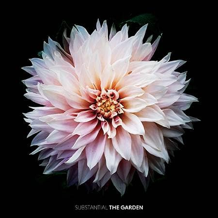Hip Hop Artist’s Album Proves Why You Don’t Need a Dope Rhyme Over a Tight Beat